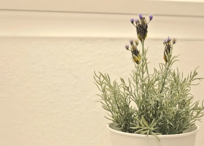 Nordseeblick Daire Horumersiel